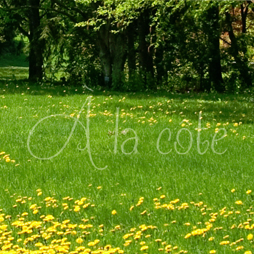 French A La Cote