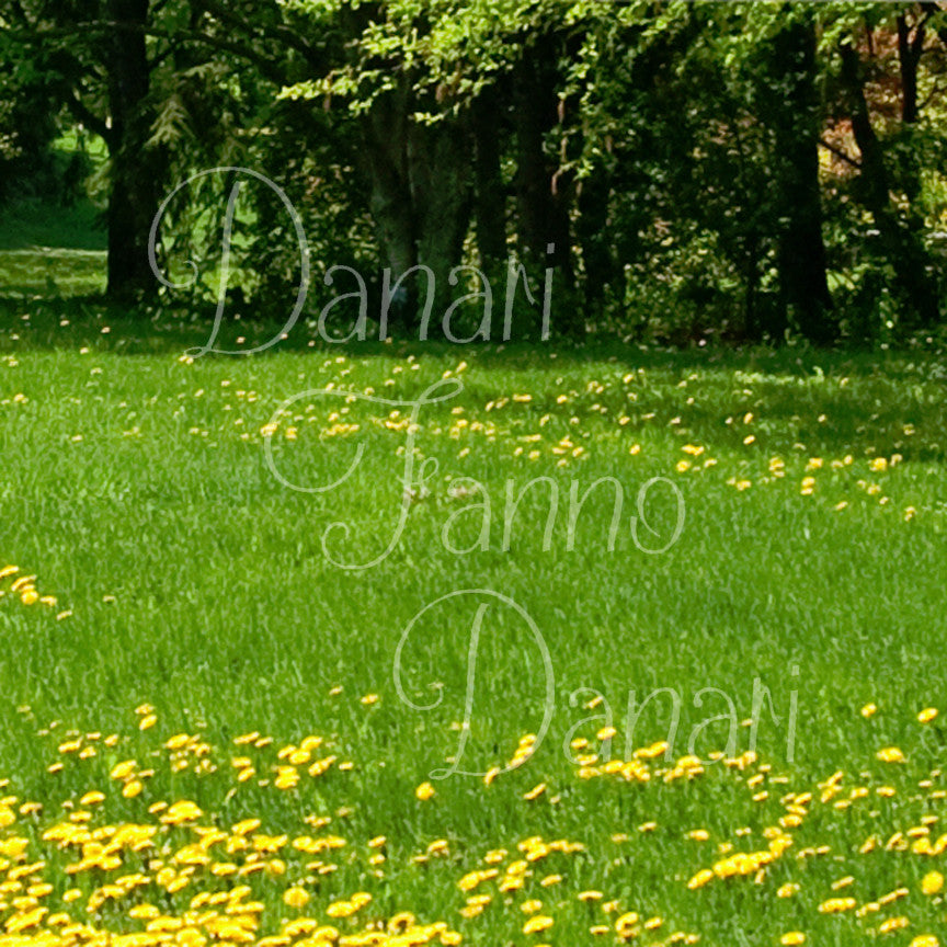 Italian Danari Fanno Danari