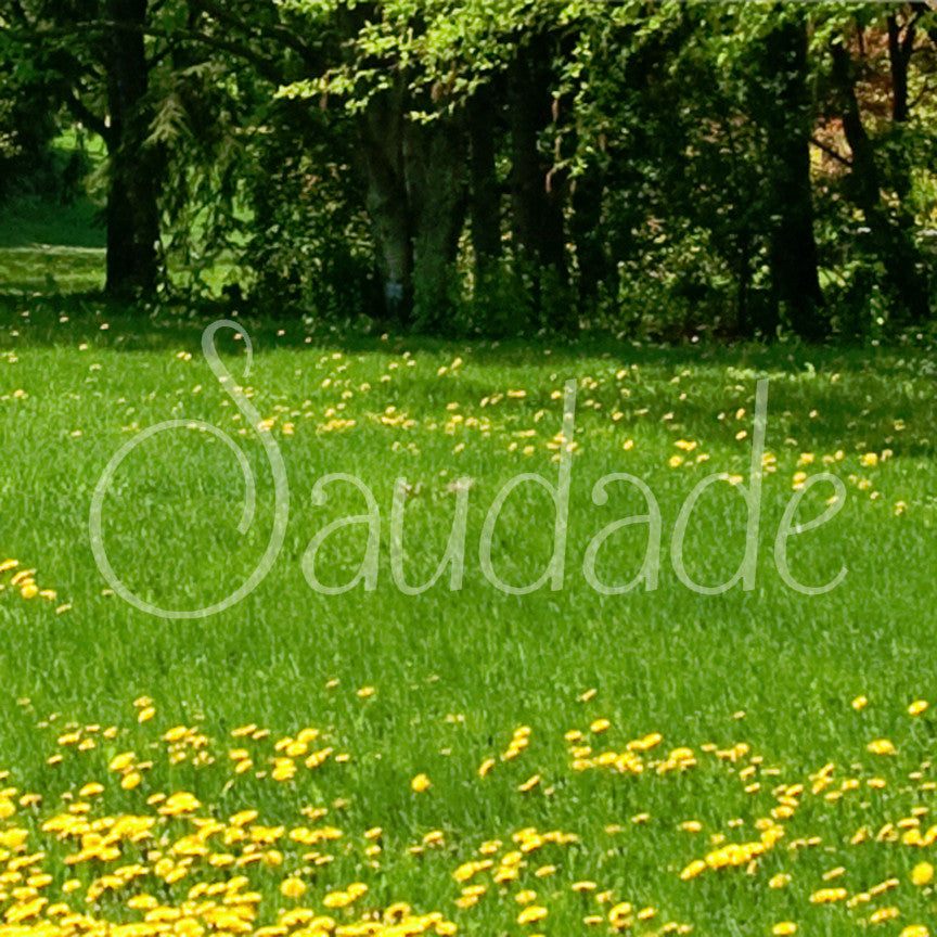Portugese Saudade