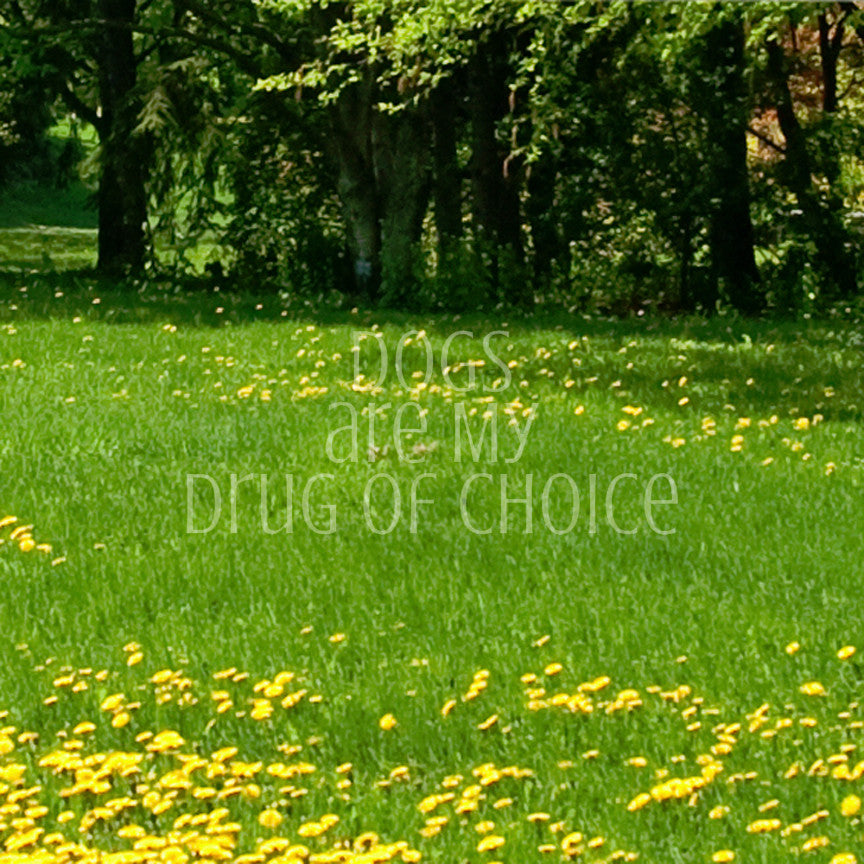 Dogs My Drug Of Choice