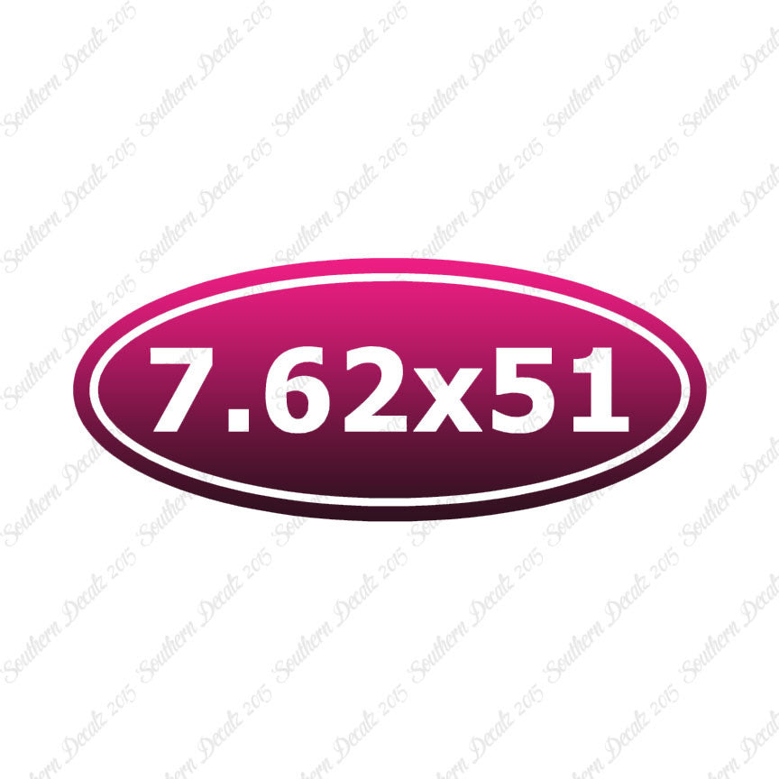 Ammo 7.62 x 51mm