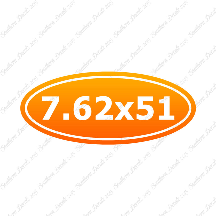 Ammo 7.62 x 51mm