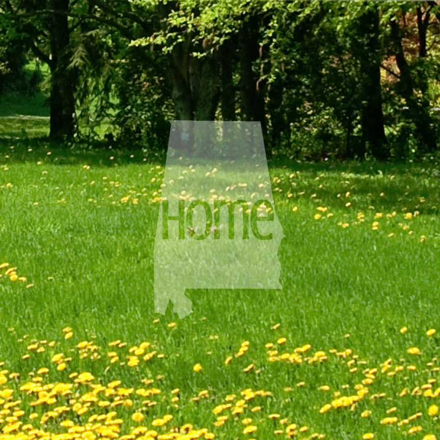 Alabama Home United States America