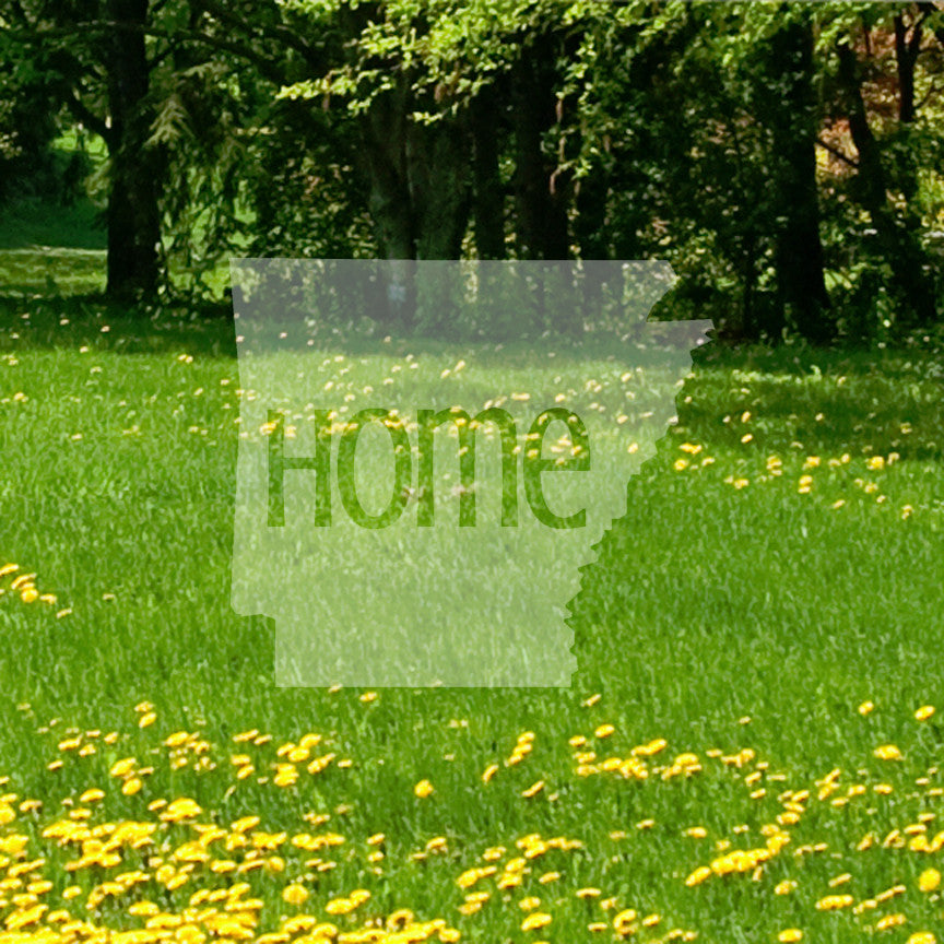 Arkansas Home United States America