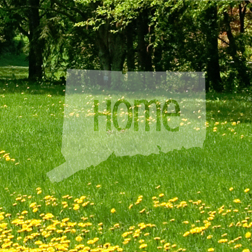Connecticut Home United States America