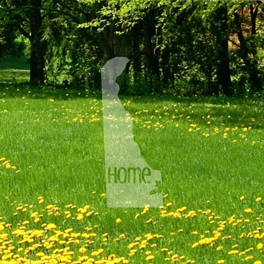 Delaware Home United States America