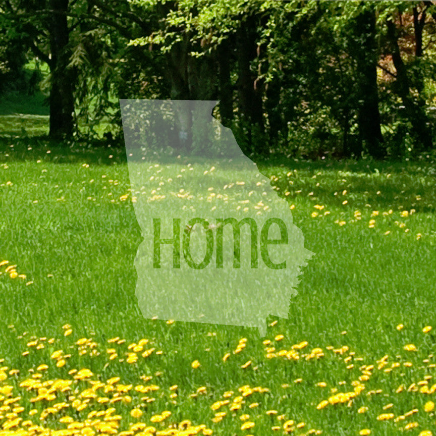 Georgia Home United States America