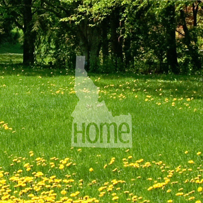 Idaho Home United States America