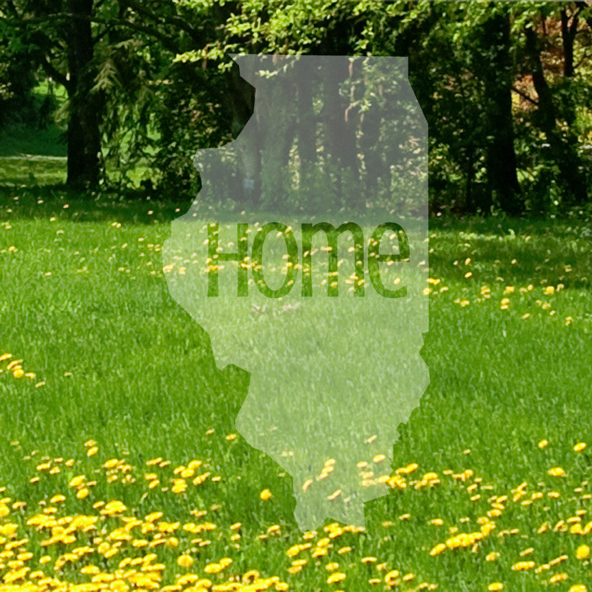 Illinois Home United States America