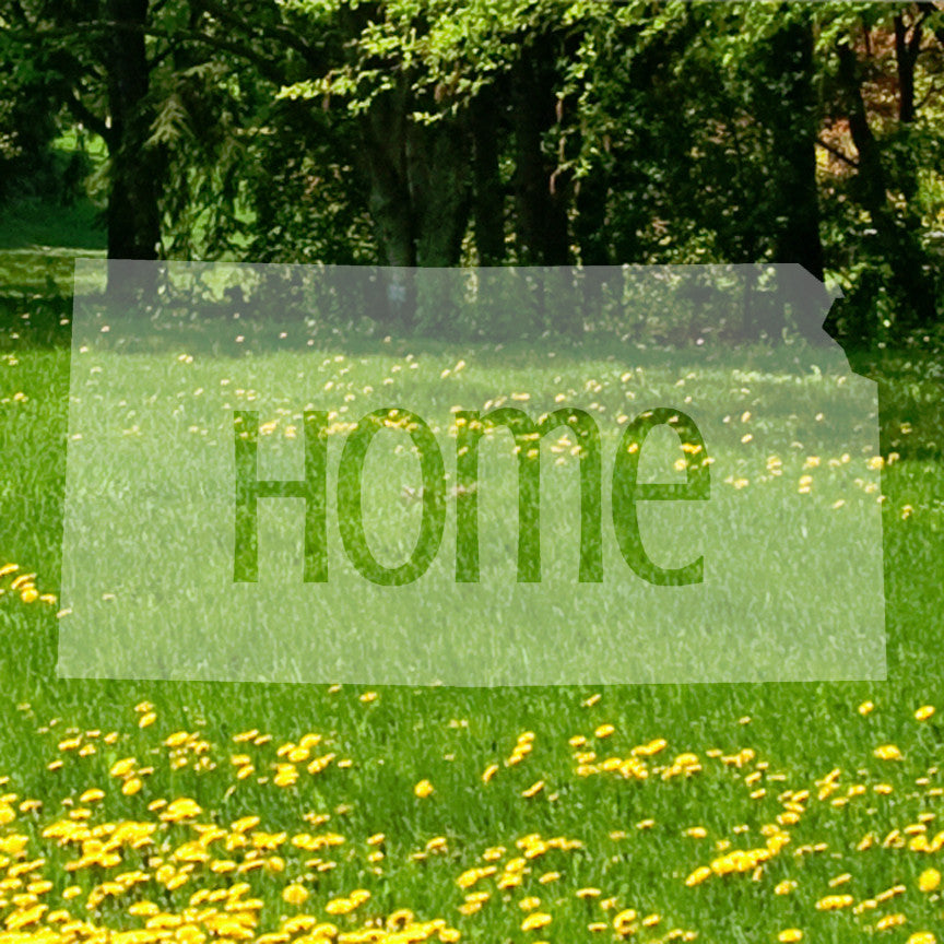 Kansas Home United States America