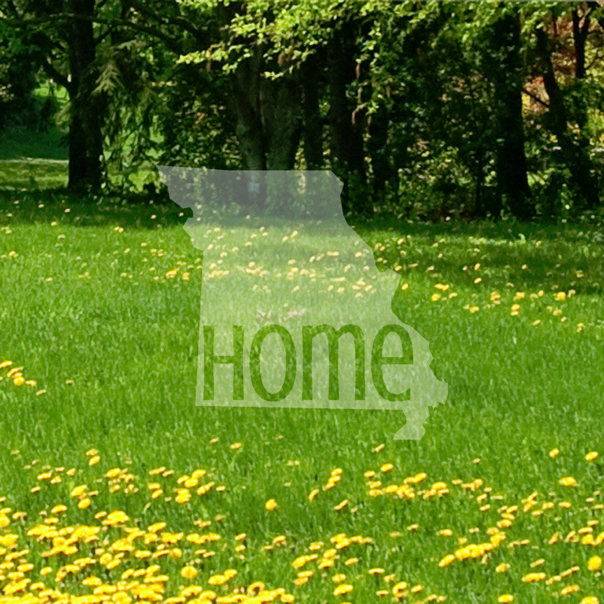 Missouri Home United States America