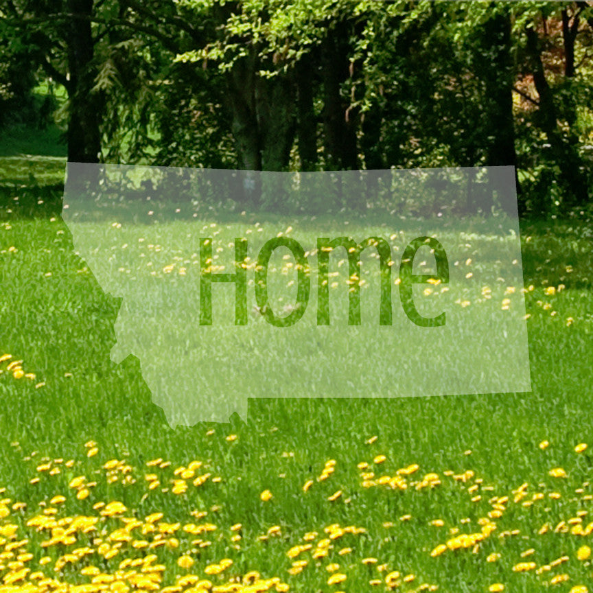 Montana Home United States America