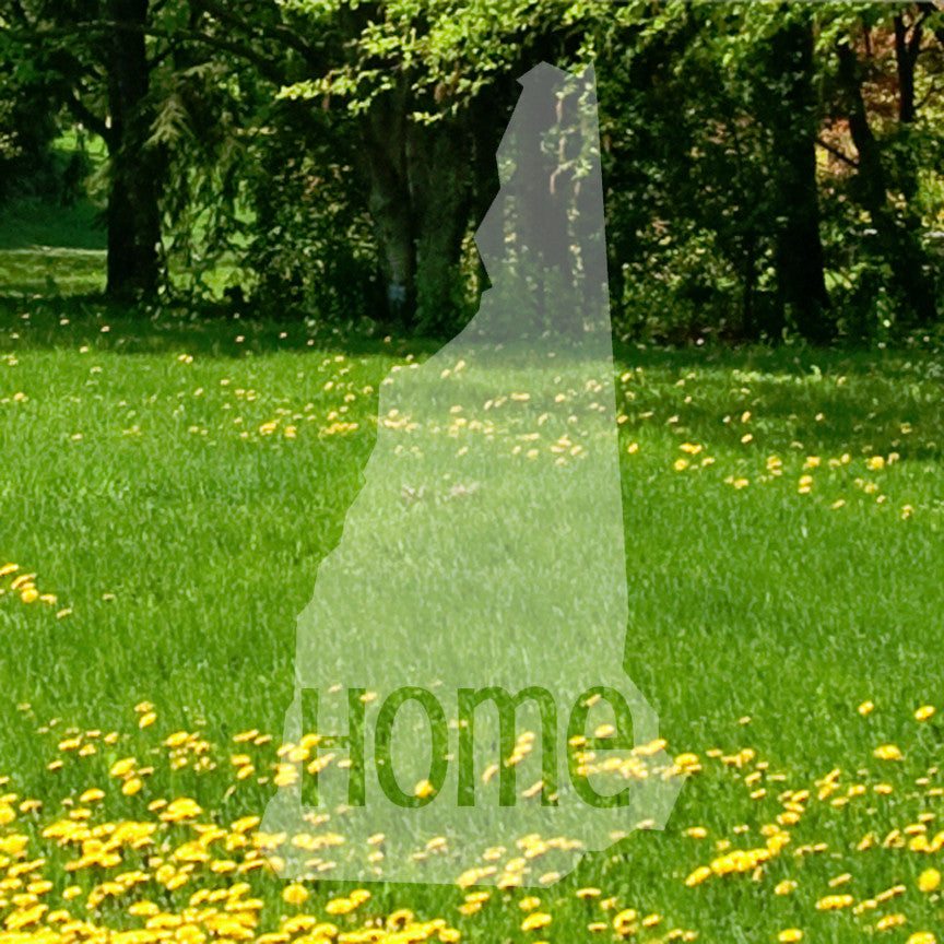 New Hampshire Home United States America