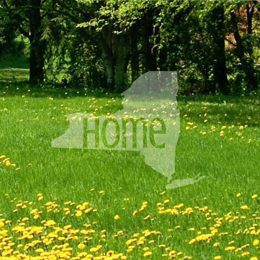 New York Home United States America