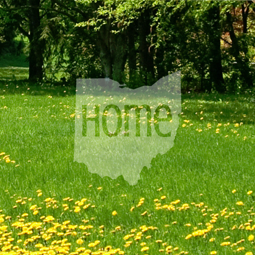 Ohio Home United States America