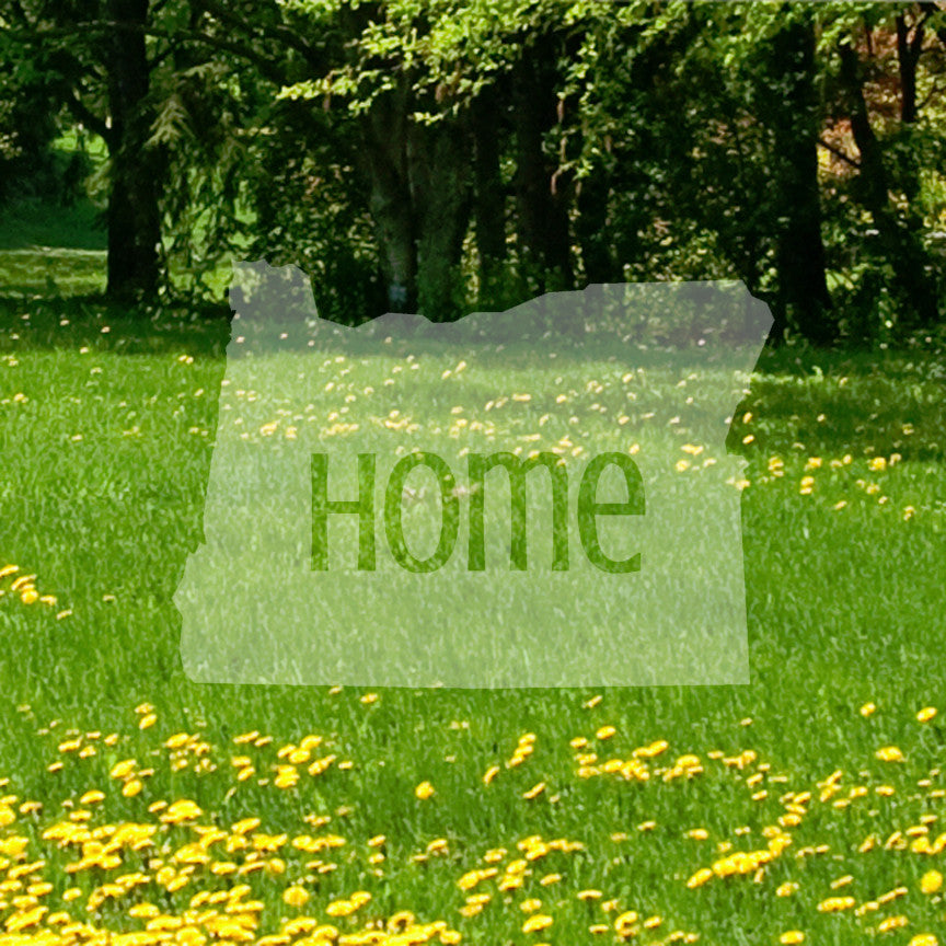 Oregon Home United States America