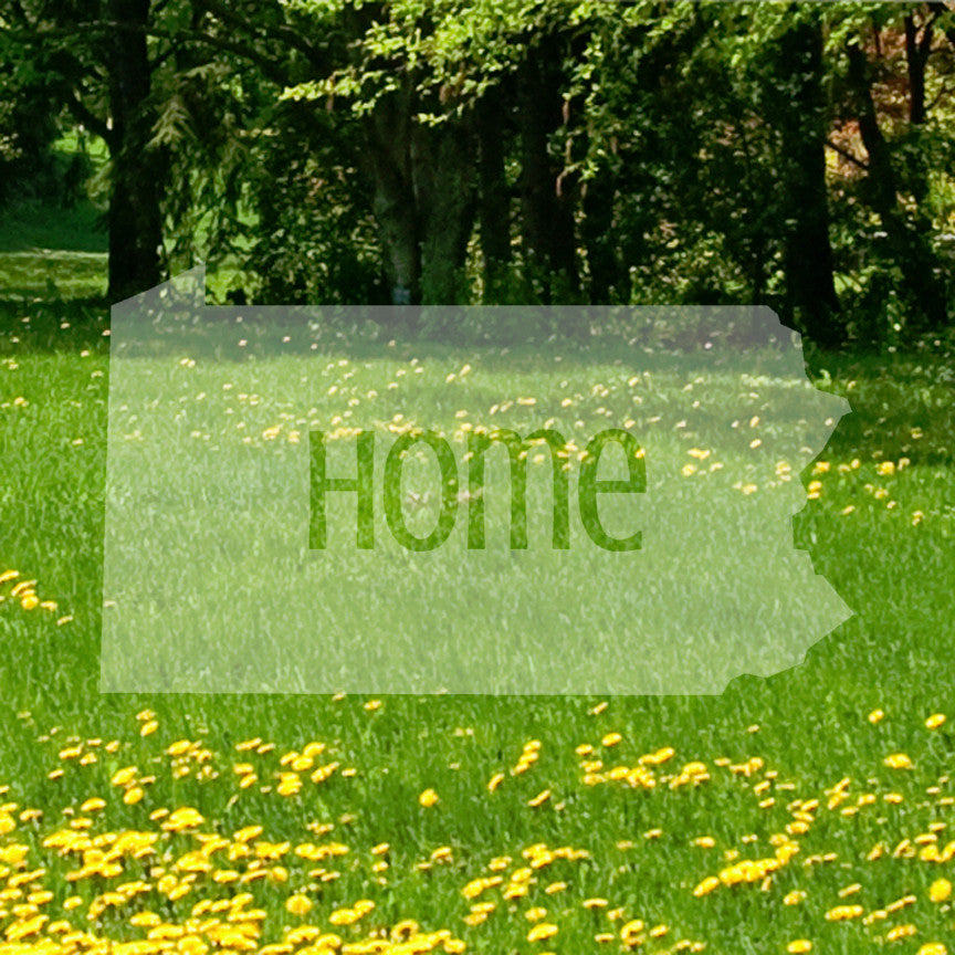 Pennsylvania Home United States America