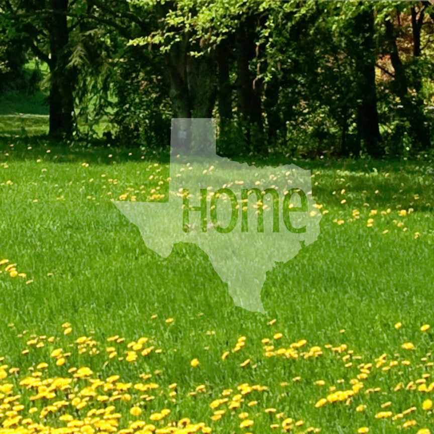 Texas Home United States America