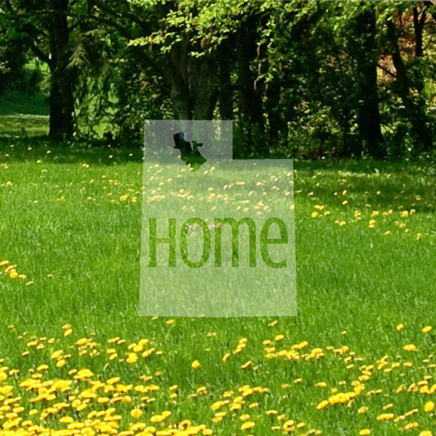 Utah Home United States America
