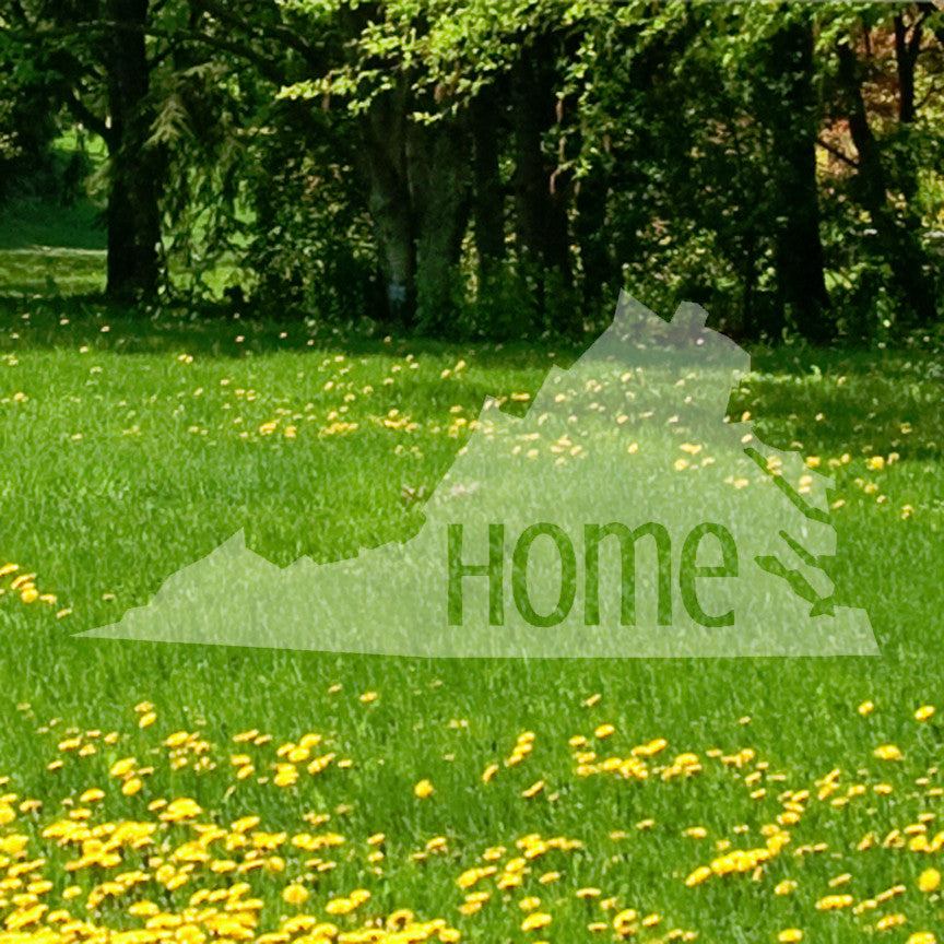 Virginia Home United States America