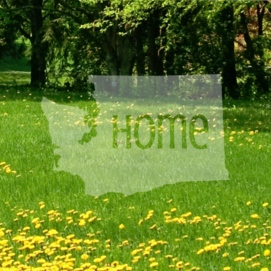 Washington Home United States America