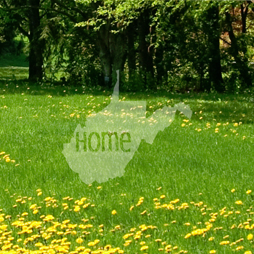 West Virginia Home United States America
