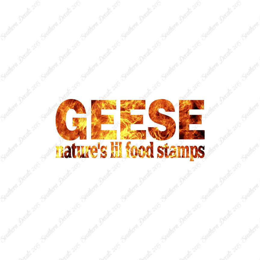 Geese Natures Food Stamps