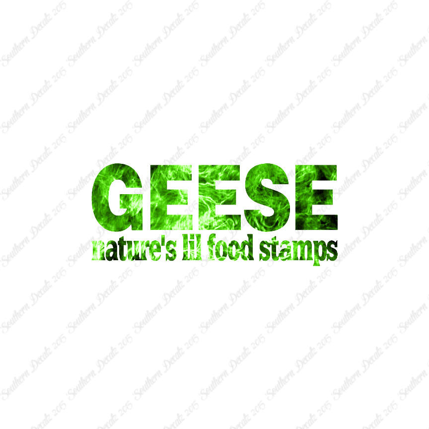Geese Natures Food Stamps
