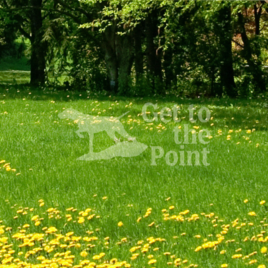 Get To The Point Hunting