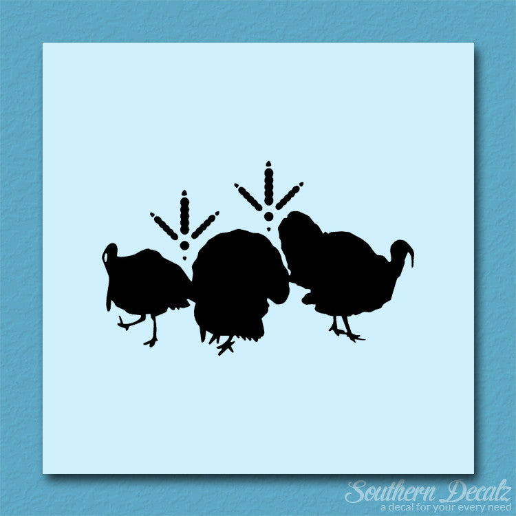 Turkeys & Turkey Tracks