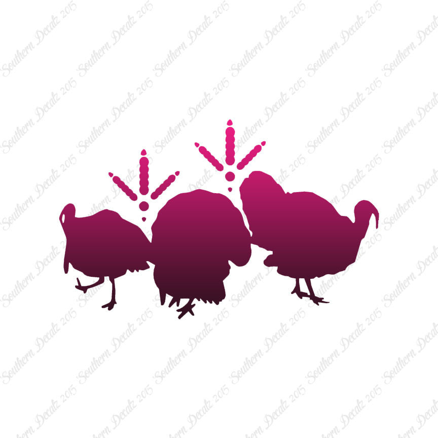 Turkeys & Turkey Tracks