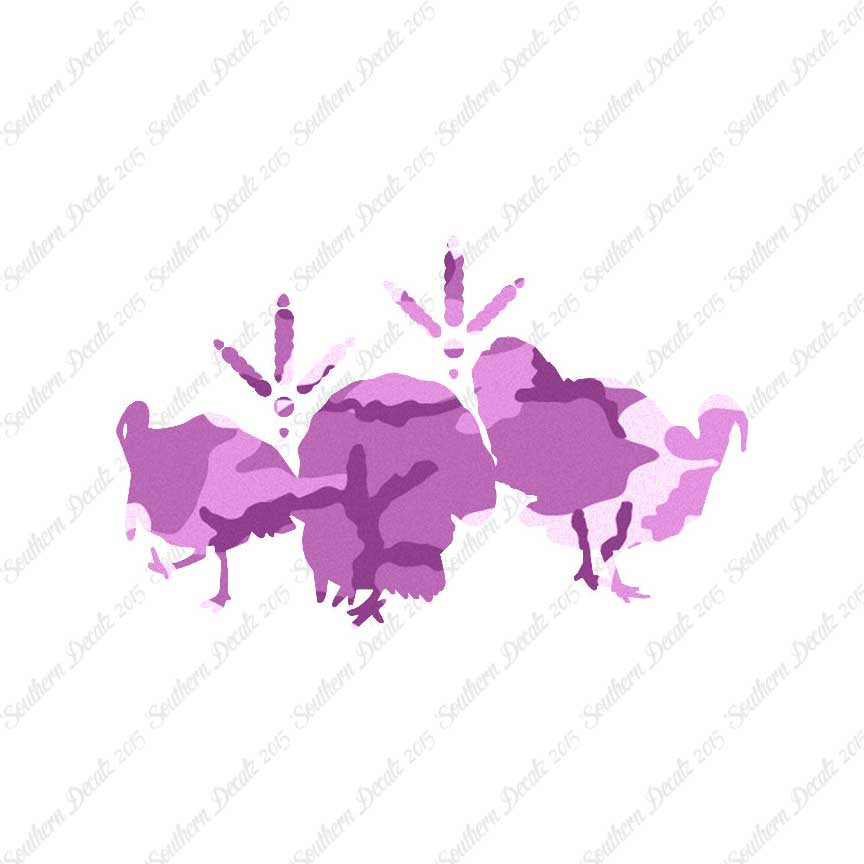 Turkeys & Turkey Tracks