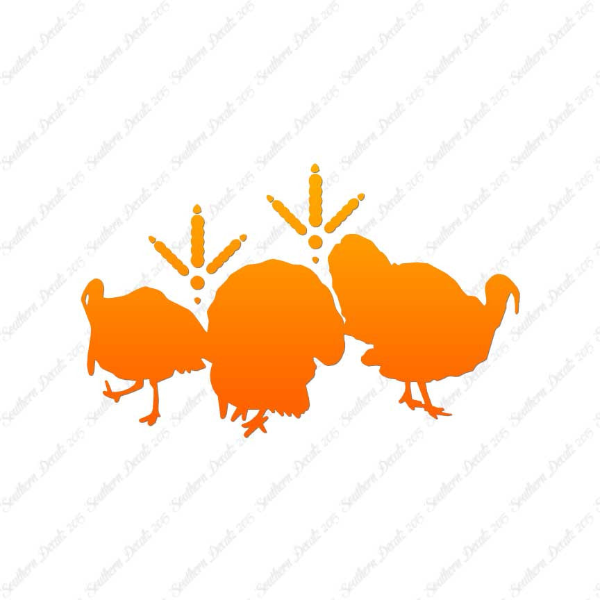Turkeys & Turkey Tracks