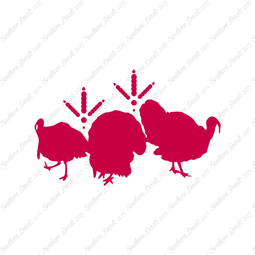 Turkeys & Turkey Tracks