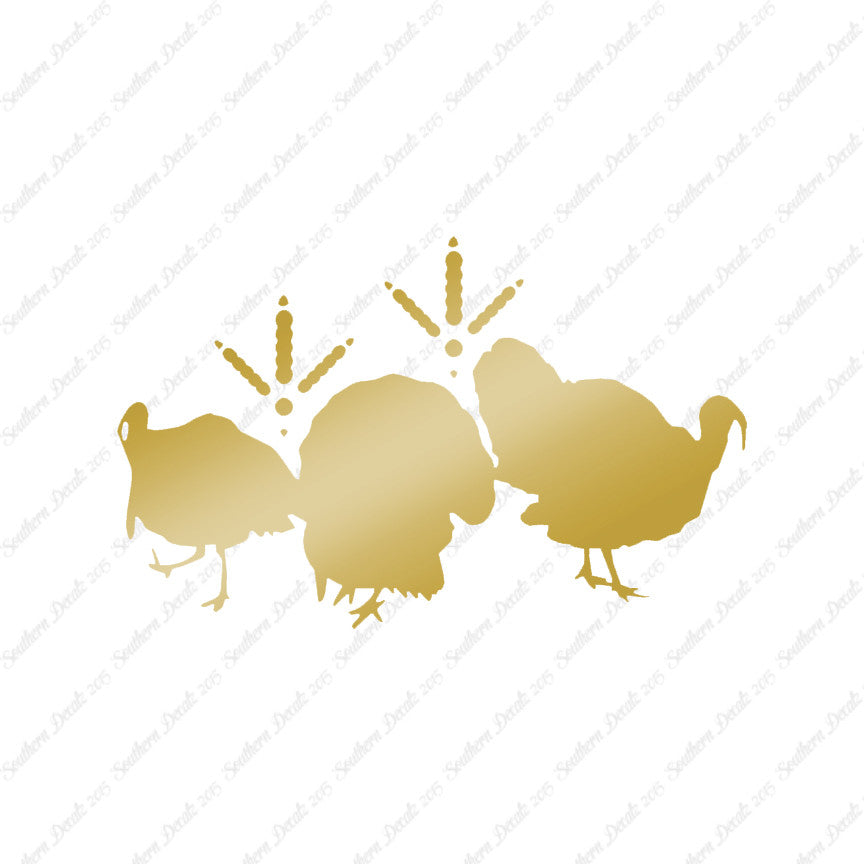 Turkeys & Turkey Tracks