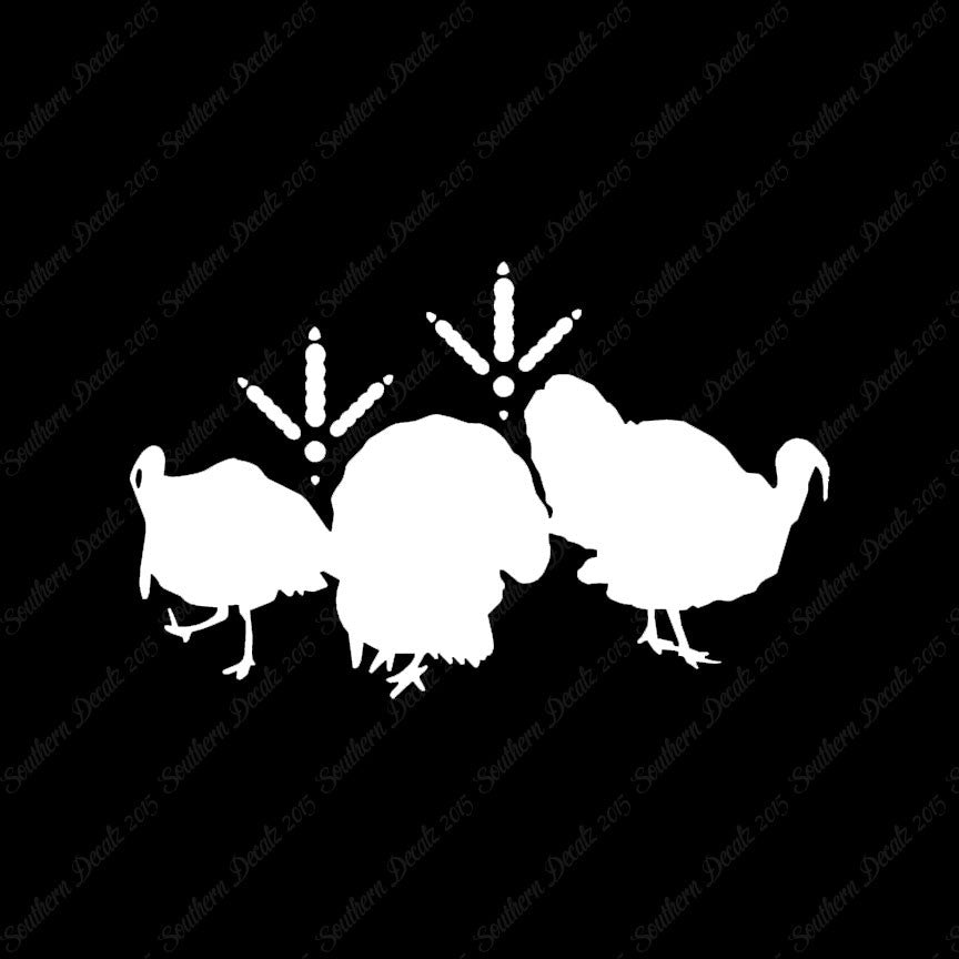 Turkeys & Turkey Tracks