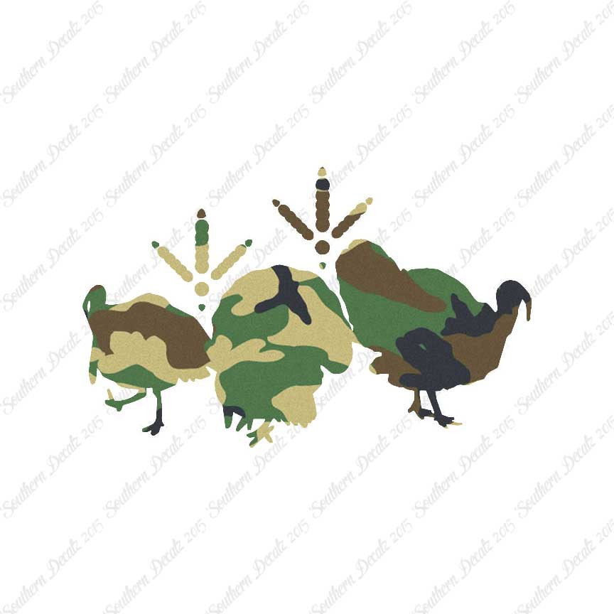Turkeys & Turkey Tracks