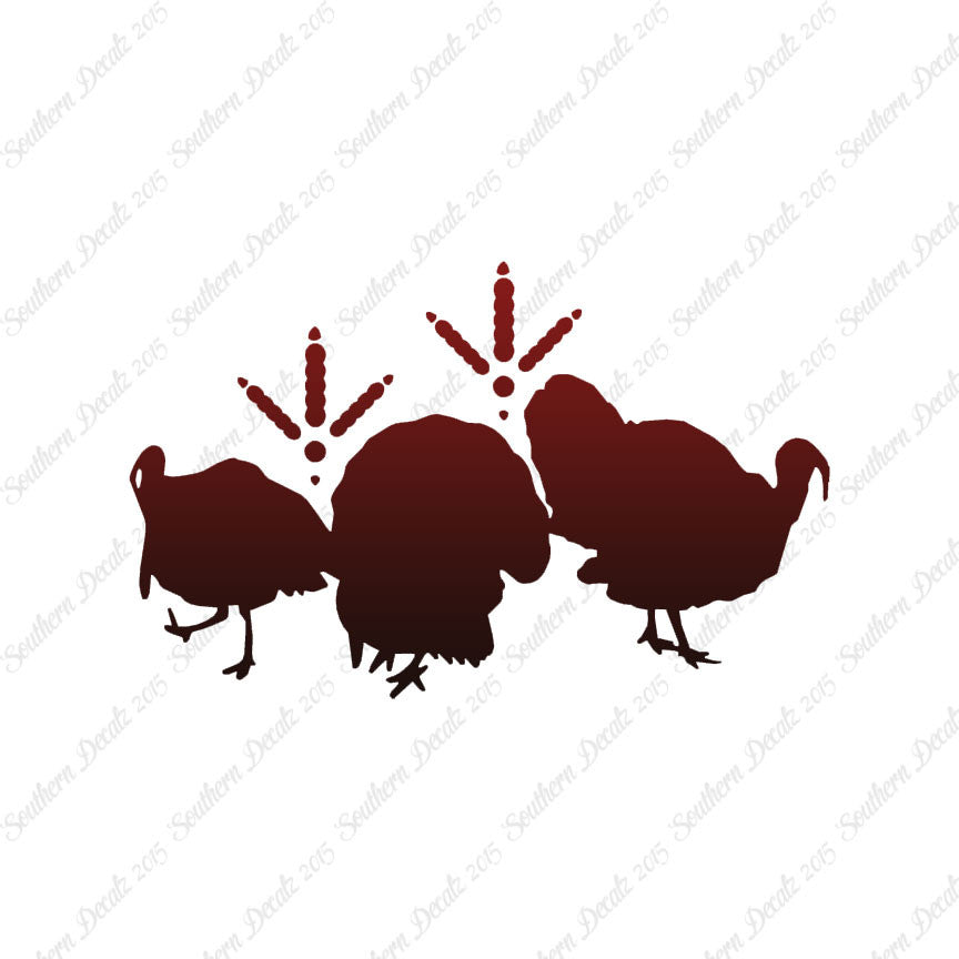Turkeys & Turkey Tracks