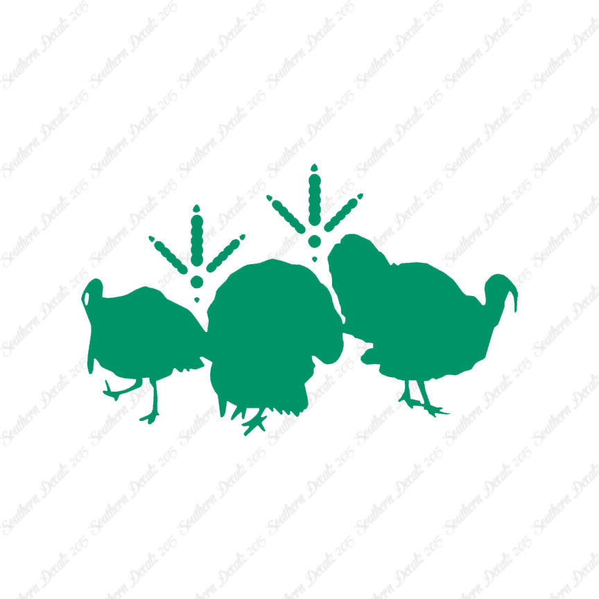 Turkeys & Turkey Tracks