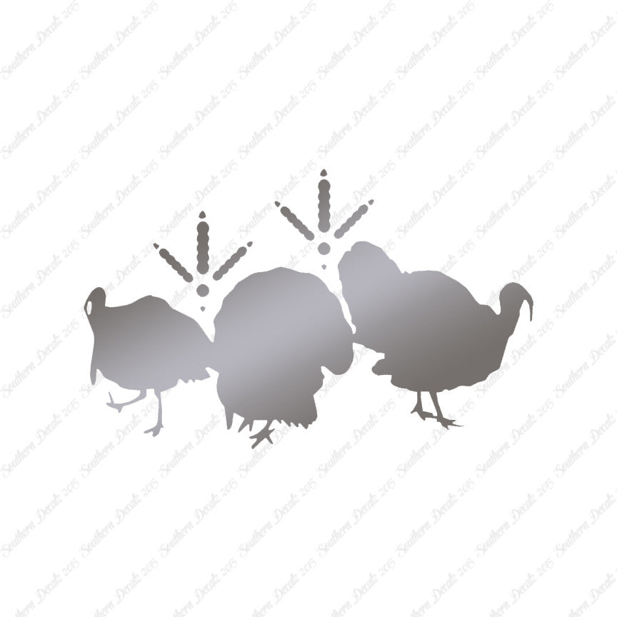 Turkeys & Turkey Tracks