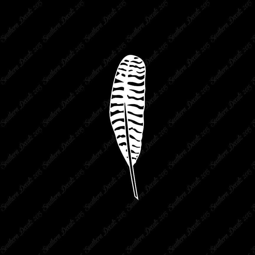 Turkey Bird Feather