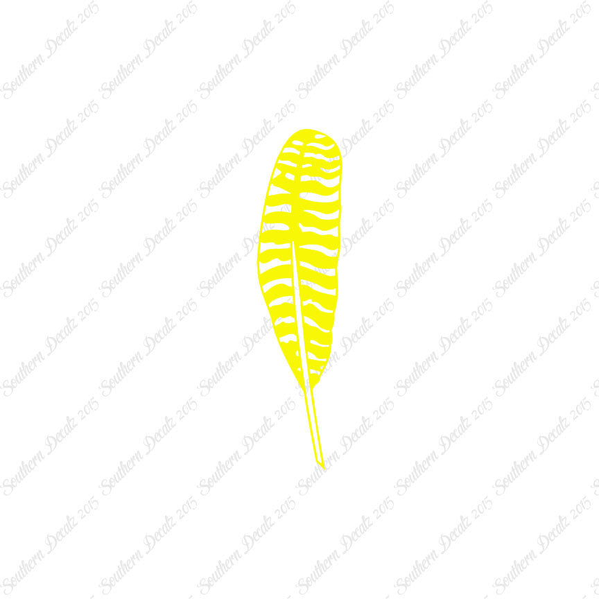 Turkey Bird Feather