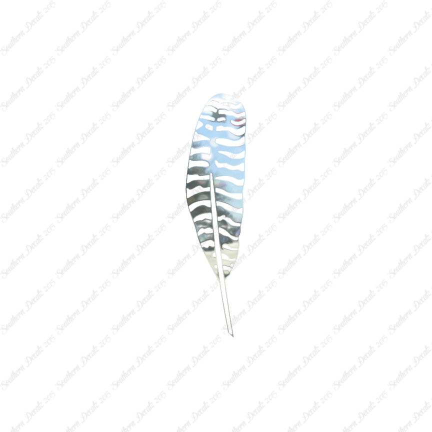 Turkey Bird Feather