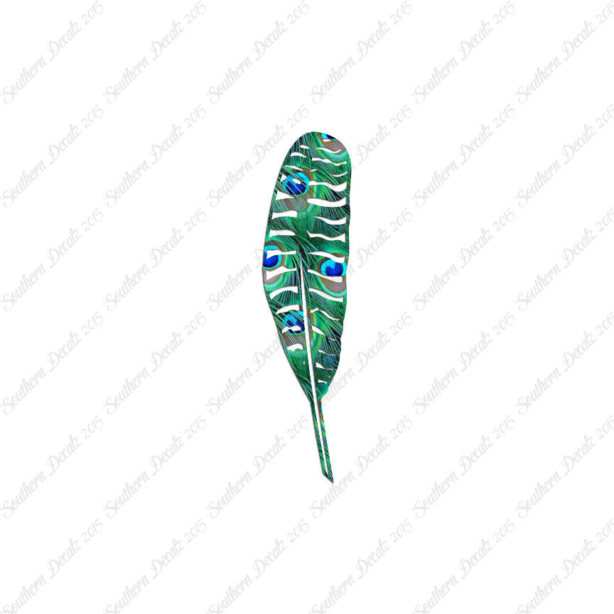 Turkey Bird Feather