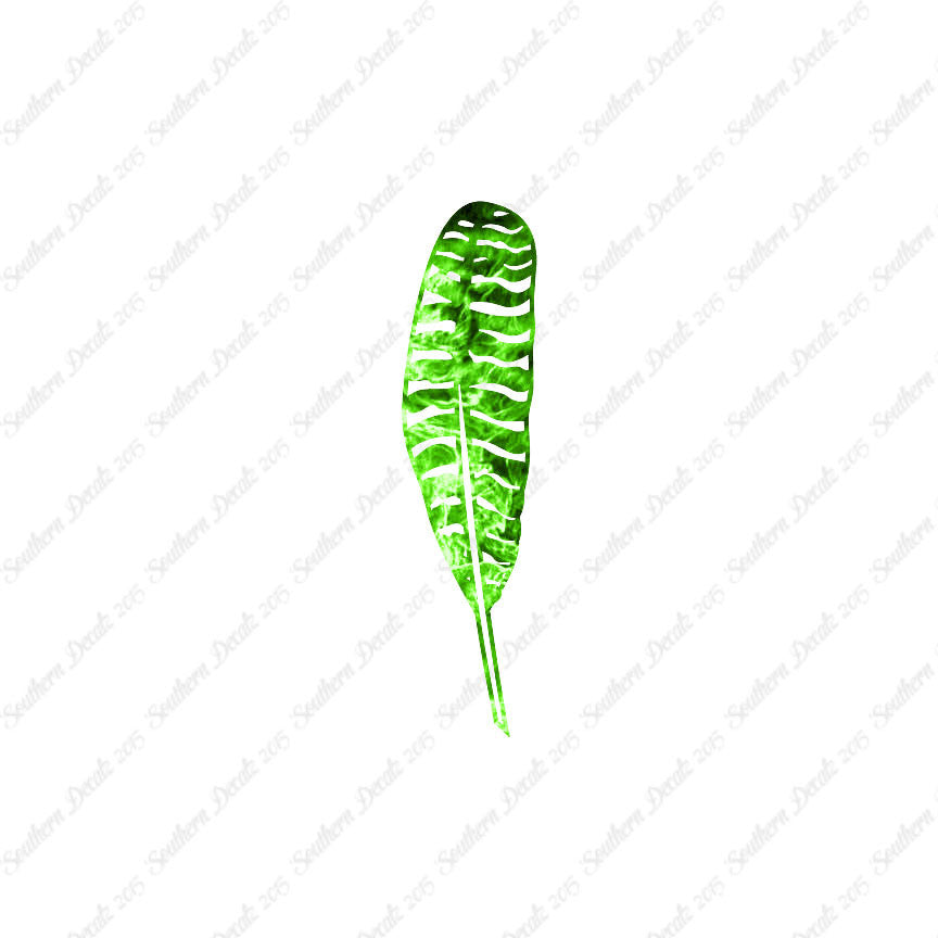 Turkey Bird Feather