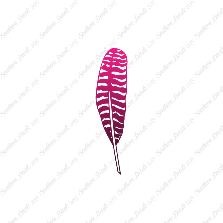 Turkey Bird Feather