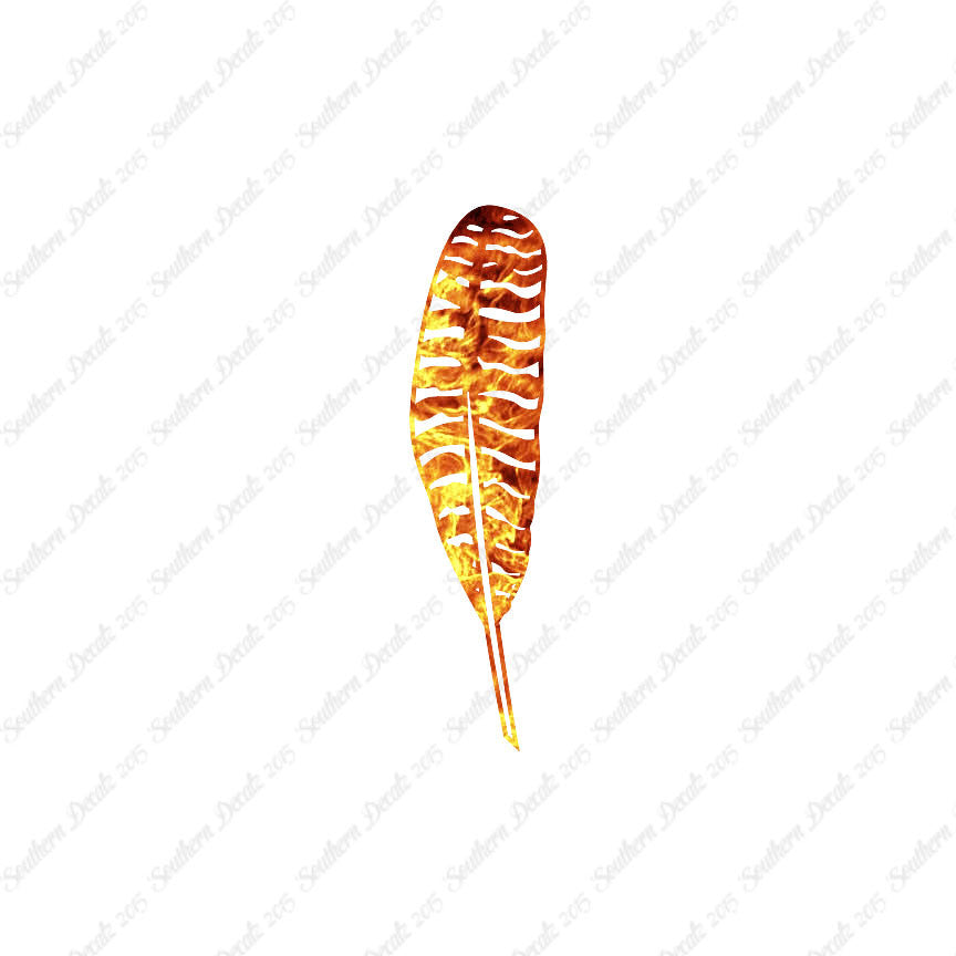 Turkey Bird Feather