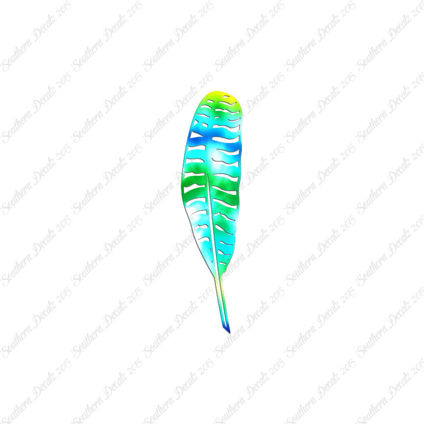 Turkey Bird Feather