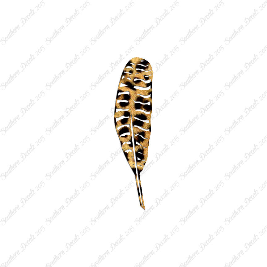 Turkey Bird Feather