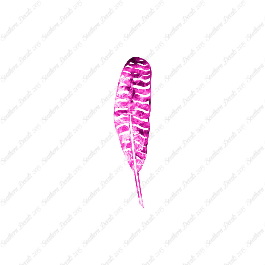 Turkey Bird Feather